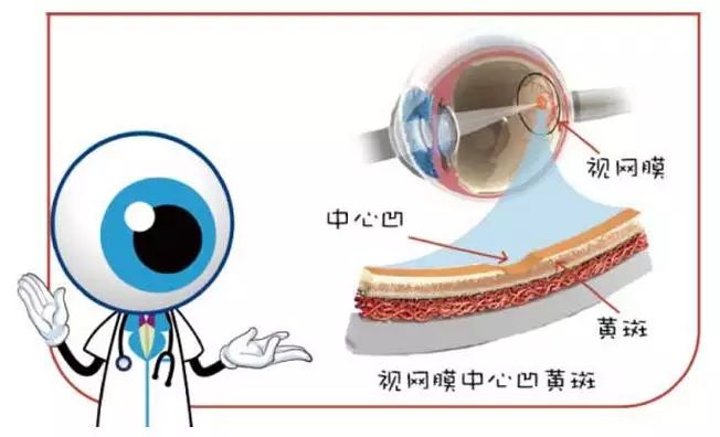 新型冠狀病毒能否通過結(jié)膜傳染